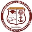 Brooklyn Collegiate HS Boys JV